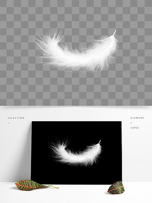 白鸭绒设计素材免费下载_白鸭绒设计图片平面设计